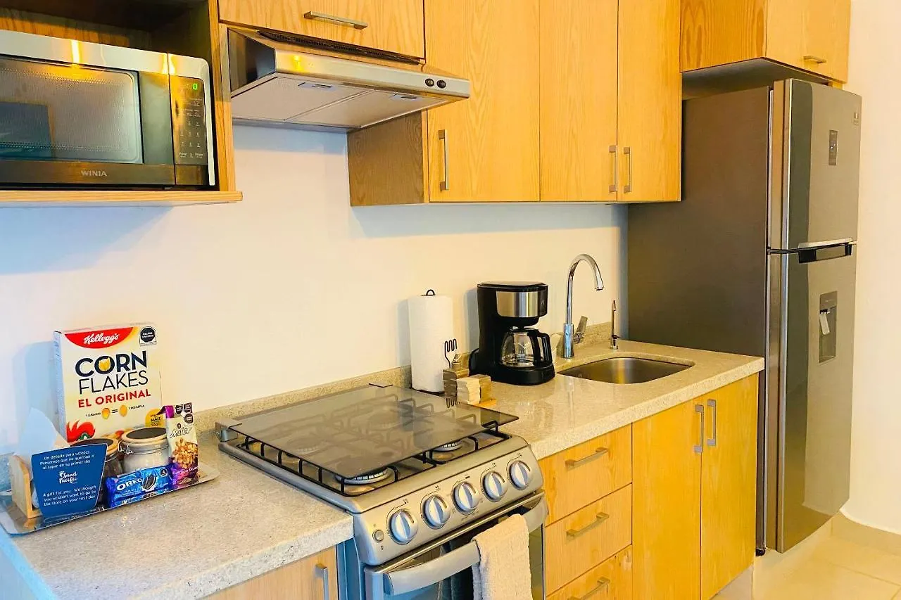 Apartments 6 Blocks To Beach, Roof Terrace With Spa Tub & Bbq Puerto Vallarta