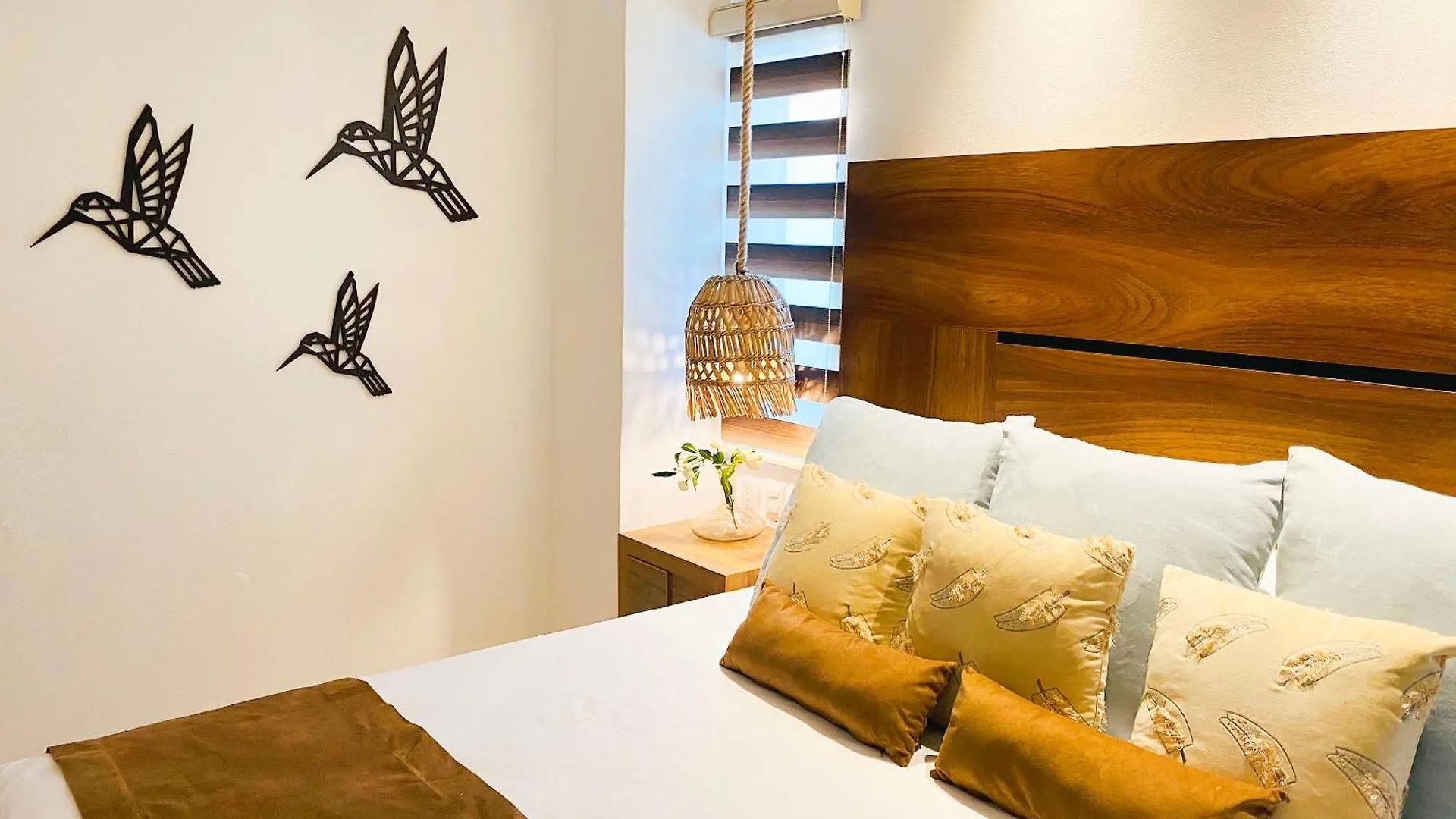 Apartments 6 Blocks To Beach, Roof Terrace With Spa Tub & Bbq Puerto Vallarta Mexico