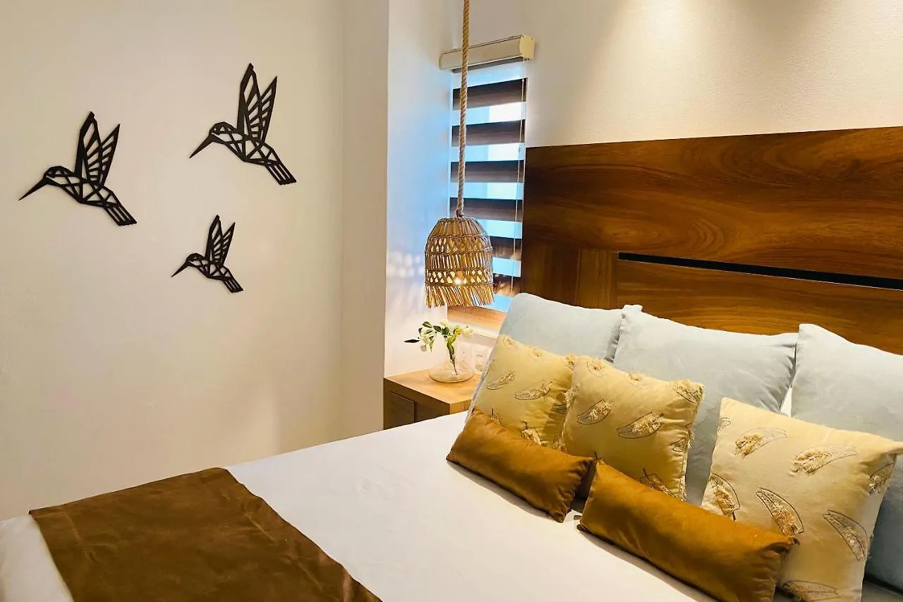 Apartments 6 Blocks To Beach, Roof Terrace With Spa Tub & Bbq プエルトバラータ