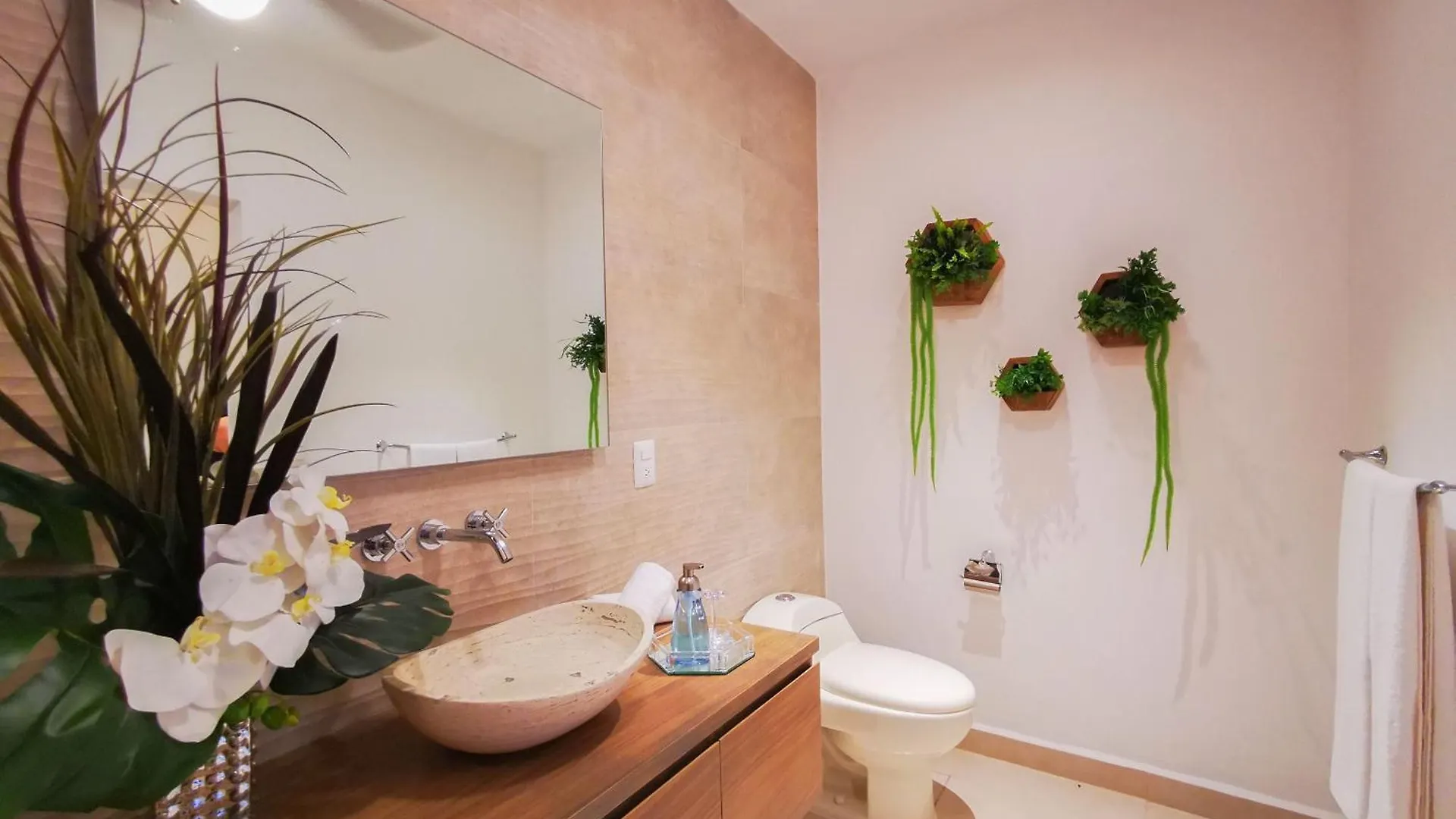 Apartments 6 Blocks To Beach, Roof Terrace With Spa Tub & Bbq プエルトバラータ