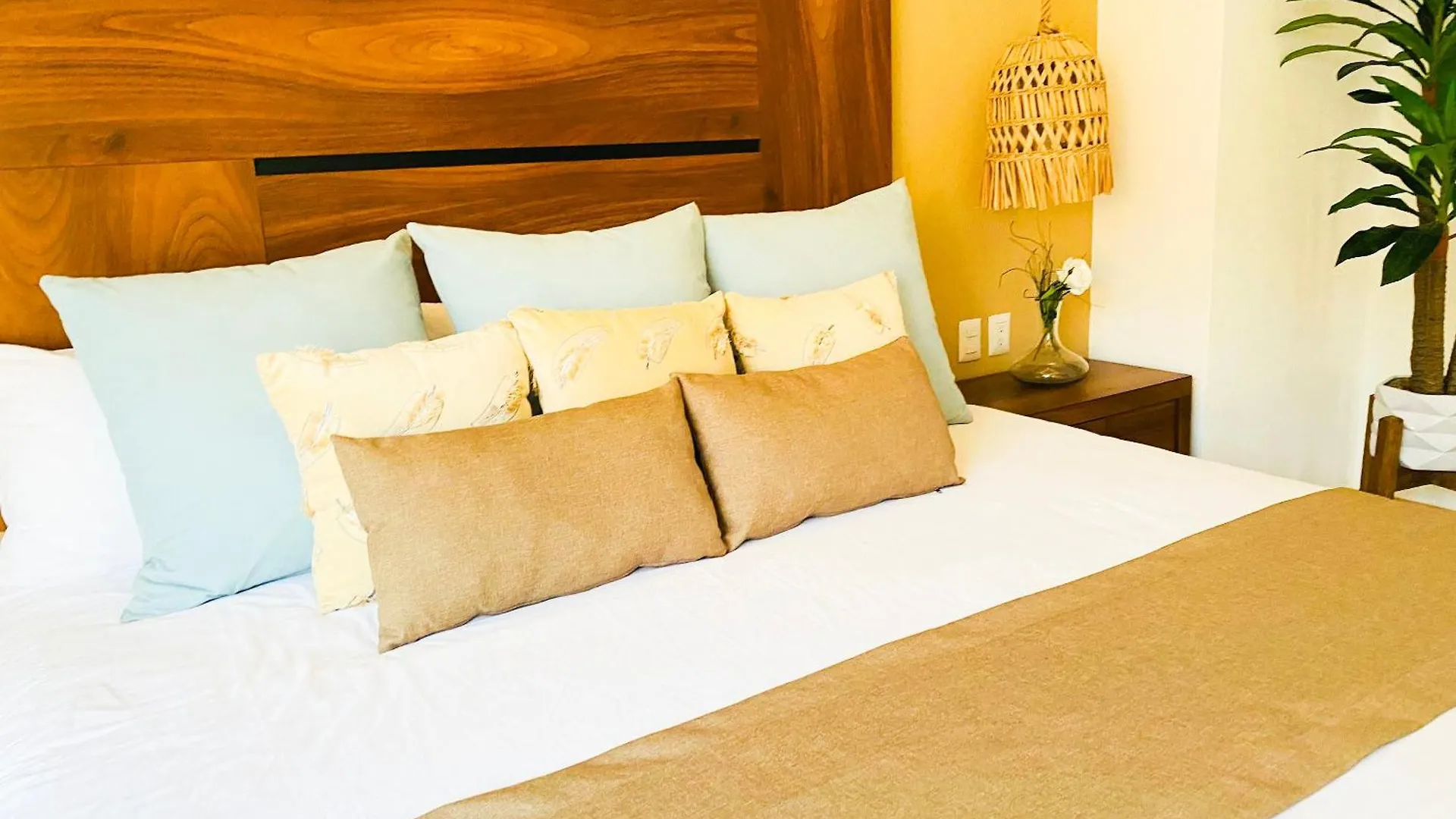 Apartments 6 Blocks To Beach, Roof Terrace With Spa Tub & Bbq プエルトバラータ