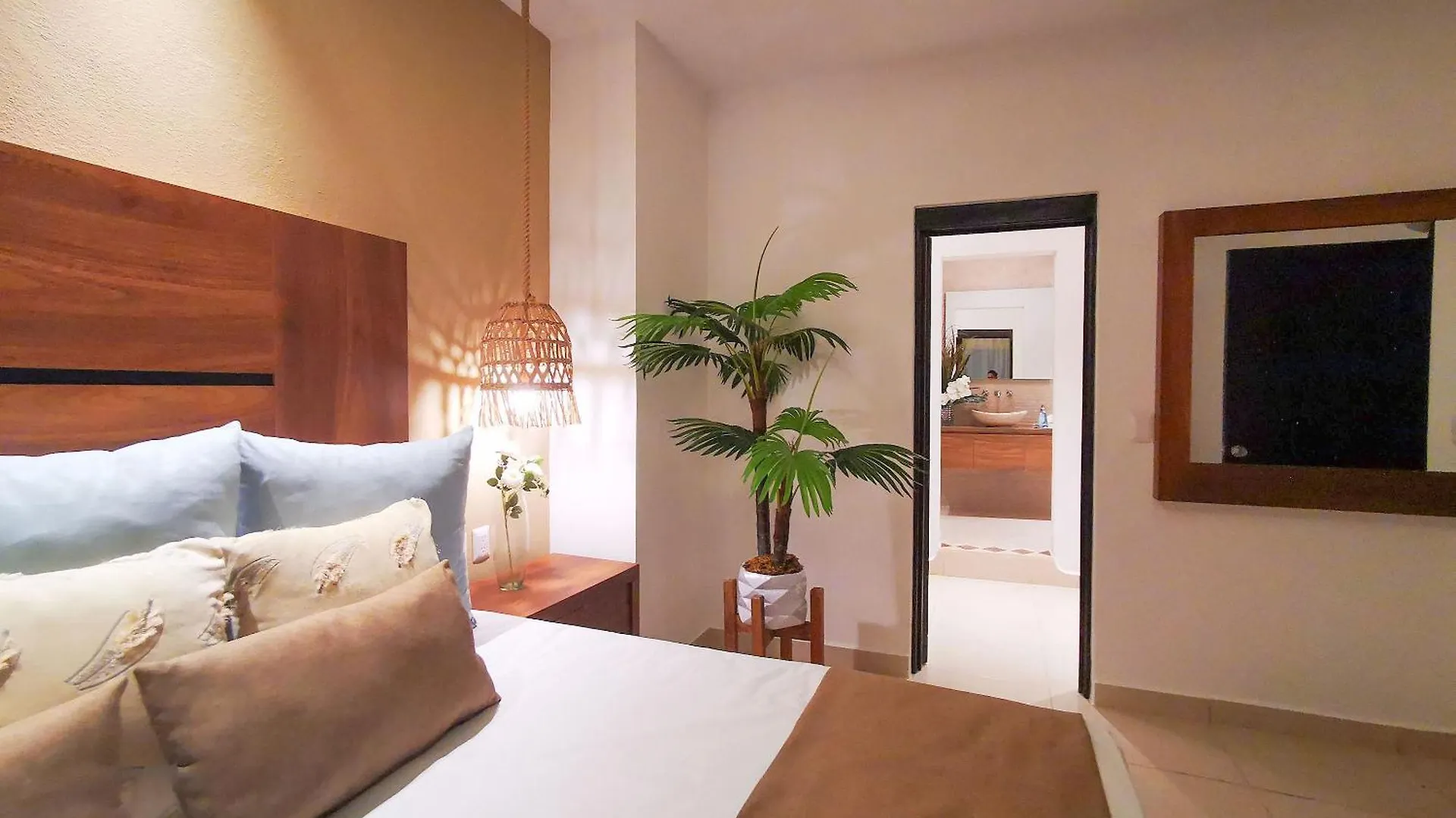 Apartments 6 Blocks To Beach, Roof Terrace With Spa Tub & Bbq プエルトバラータ
